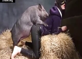 Milf animal sex